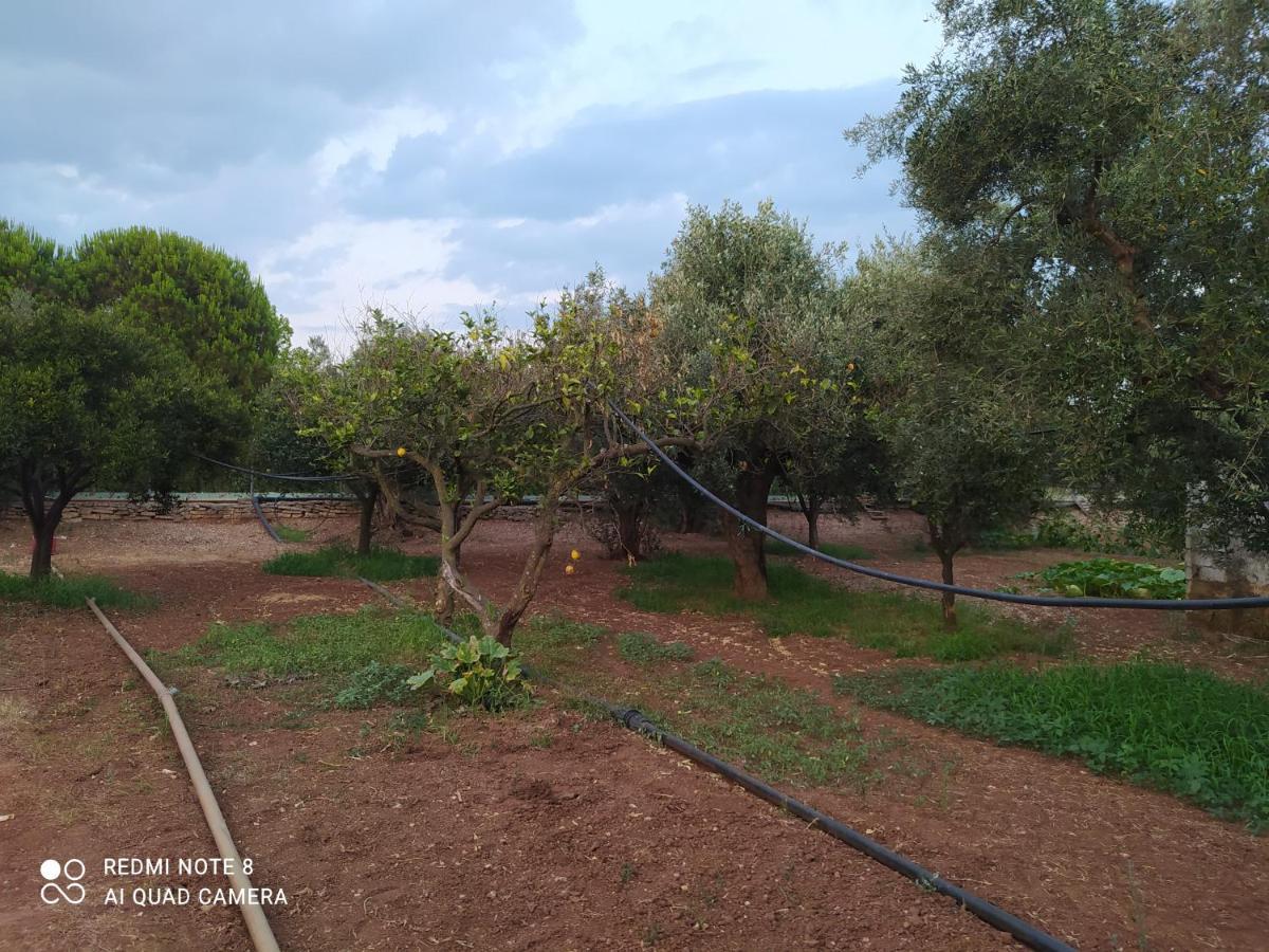 Ozena Countryside Apartment Βρωμονέρι Εξωτερικό φωτογραφία