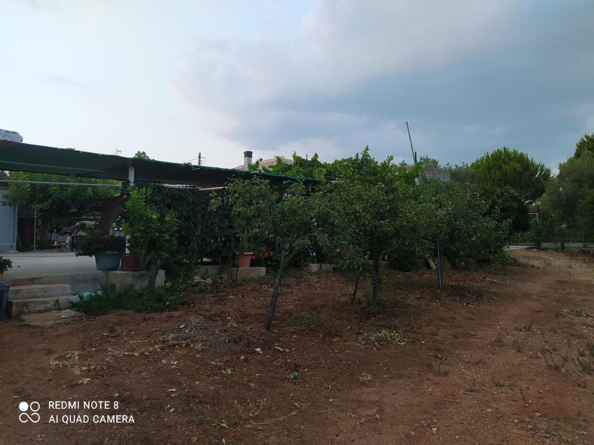 Ozena Countryside Apartment Βρωμονέρι Εξωτερικό φωτογραφία